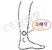 三陰交画像